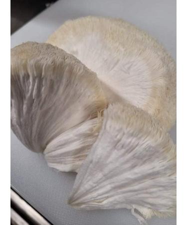 Lion's Mane Powder (Hericium erinaceus) - Smithereens Mushroom Powder 85gr - Buy Online on GoSupps.com
