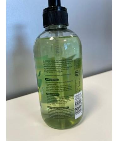  Sagrotan Sagrotan Fresh and Fruity Hand Soap - Moisturizing Liquid Soap with a Fruity Scent - 5 x 300 ml Hand Soap - Buy Online on GoSupps.com