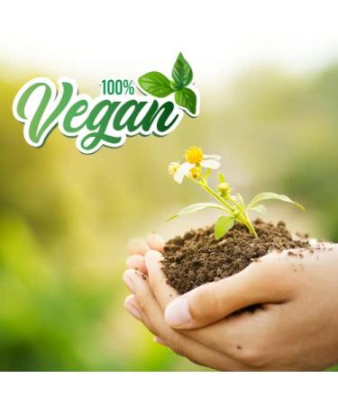 Buy Mystic Moments Soybean Carrier Oil 5L - Pure & Natural for Hair Face Nails | Vegan & GMO-Free Aromatherapy and Massage Oil - Buy Online on GoSupps.com