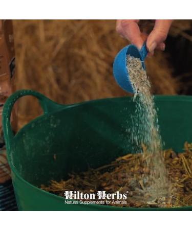 Hilton Herbs Bye Bye Itch Nutritional Supplement Bag for Horses Summer Dermatitis and Itching 2 kg Pack of 2 - Buy Online on GoSupps.com