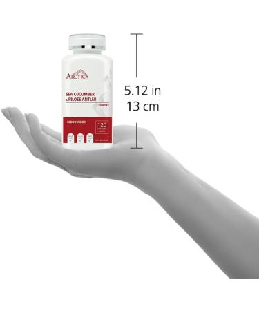 Arctica Sea Cucumber & Pilose Antler Complex Capsule Blood Vigor 600 mg 120 caps - Buy Online on GoSupps.com