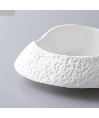 Porcelain Dinner Plates Ceramic Dinner Plate Restaurant Salad Plate Pasta Plates Sushi Dish Snack Dish Steak Dishes Soup Bowl Fruit Bowl Dessert Bowls Kitchen Dinner Plates(5inch) (9.5inch One Size) - Buy Online on GoSupps.com