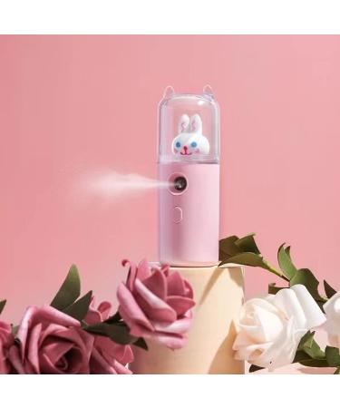Facial Nano Mist Sprayer USB Rechargeable Battery Operated 30Ml Mini Portable Spray Face Moisturizing Hydrating Steamer Facial Humidifier for Skin Care - Buy Online on GoSupps.com