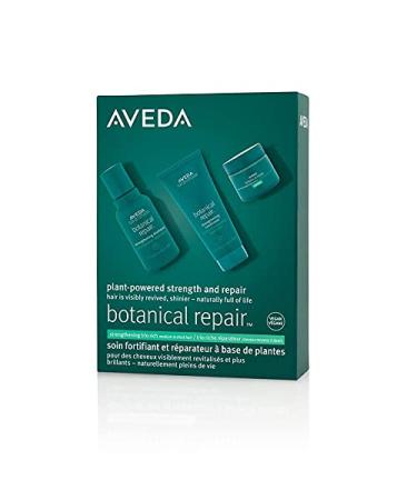 Aveda Botanical Repair Travel Kit for Ruined Hair - Rich