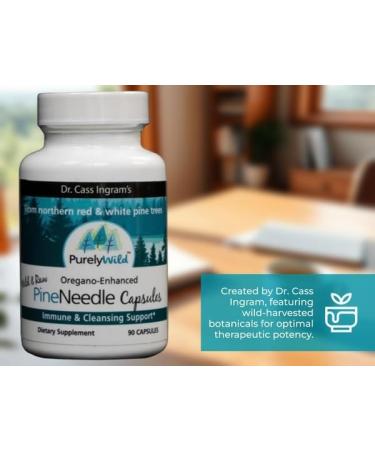 Dr. Cass Ingram Wild Pine Needle Capsules with Spruce Black Cumin & Oregano - Immune Support & Respiratory Wellness Supplement - 90 Count - Buy Online on GoSupps.com