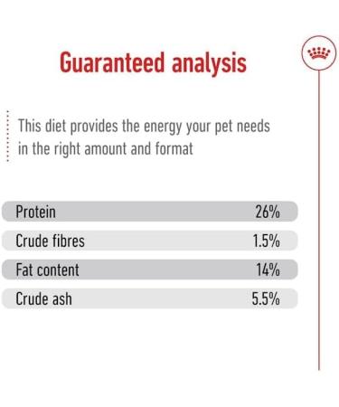 Royal Canin Mini Ageing Dog Food 12 0.8 kg - Buy Online on GoSupps.com