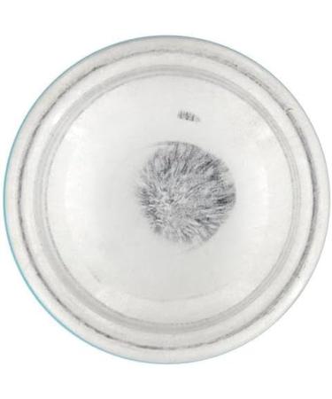 Tesori d'Oriente Bagno Lot de 12 bains moussants ayurv diques l'amla et au patchouli nettoie en douceur la peau et donne brillance et souplesse 500 ml + porte-cl s Beni Culinari gratuit - Buy Online on GoSupps.com
