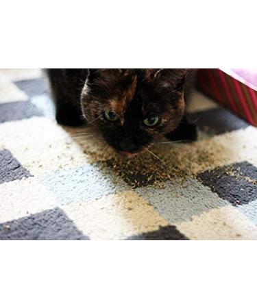 Meowijuana Meowi-Waui Catnip Leaf & Flake - Large Bottle - Buy Online on GoSupps.com