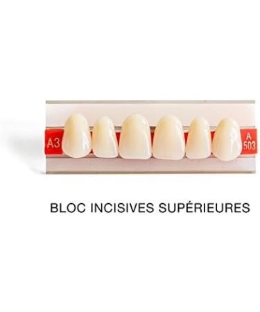 Artificial Resin Teeth for Braces - Top & Bottom Set of 12 | International Shipping - Buy Online on GoSupps.com