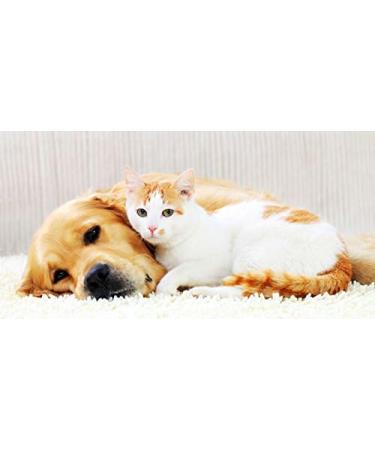 Pet Urinary Support - Advanced Chewable Supplement for Dogs & Cats - Healthy Urinary Complex with Cranberry - 90 Chews - Buy Online on GoSupps.com