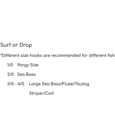 High Low Rig with 4/0 Octopus Hooks Berkley 60lb - Ideal for Surf and Deep Sea Fishing - Made in USA - Buy Online on GoSupps.com