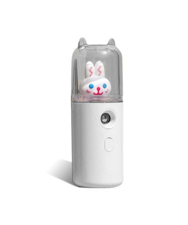 dijiusidy USB Sprayer Maker Portable 30ml Mini Humidifier Fogger Face Steamer Traveling Camping Atomizer Beauty Instrument Type 2 White