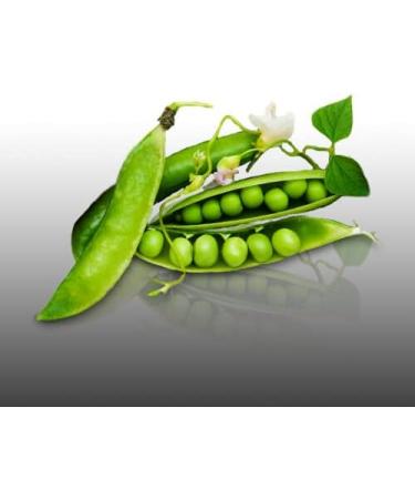 75 g Seeds to sow Le Grenier dAbondance Dwarf PEA Wonder of Kelvedon Pisum Sativum - Buy Online on GoSupps.com