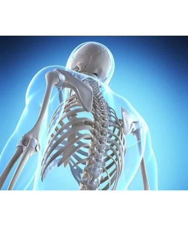 VitaVocal Bone and Joint Support with D3 K2 + Calcium Magnesium - 120 Vegetarian Capsules for Bone Density & Healthy Joints - Buy Online on GoSupps.com