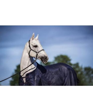 Breathable Dark Blue Horse Blanket 155cm - Elastic Neck Insect Protection & Eczema Relief | Summer Lightweight Fly Sheet - Buy Online on GoSupps.com