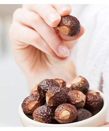 SAMRIDHI CREATION CREATION 100 Organic Region CruitsReetaAritha Reetha 500Gm of India - Buy Online on GoSupps.com