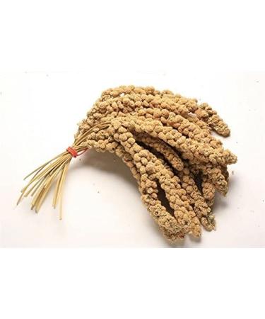 1KG PREMIUM MILLET SPRAY HANGING CAGE BIRD TREAT BUDGIE CANARIES COCKATIELS WEIGH OUT BAG - Buy Online on GoSupps.com