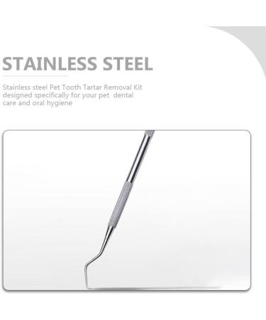 POPETPOP Stainless Spatula Dog Dental Tooth Scaler Scraper Dog Tartar Remover Stainless Double Headed Tartar Remover Scraper Pet Teeth Cleaning Tools for Dog Cat Silver Stainless Steel Cleaner - Buy Online on GoSupps.com