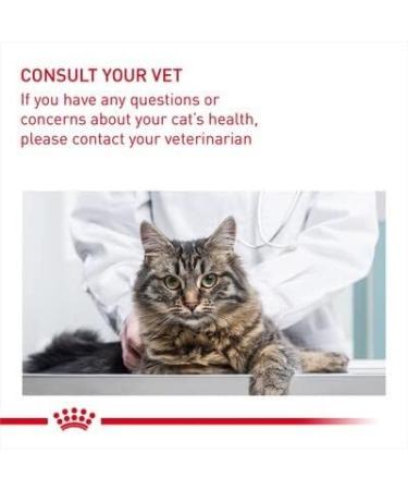 Royal Canin British Shorthair Wet Cat Food 85 g (Pack of 12) - Buy Online on GoSupps.com