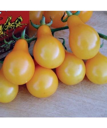 1/8 Gram Semi di Yellow Pera Pomodoro convenzionale e organica