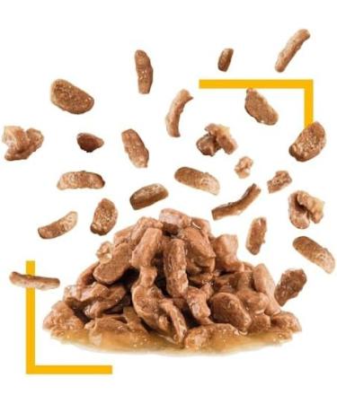 ROYAL CANIN Adult Sensory Taste In Gravy Wet Cat Food Pouches - 12 x 85g - Buy Online on GoSupps.com