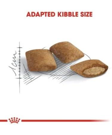 Royal Canin Senior Ageing 12+ Adult Cat Food 4kg Poultry 4 kg (Pack of 1) - Buy Online on GoSupps.com