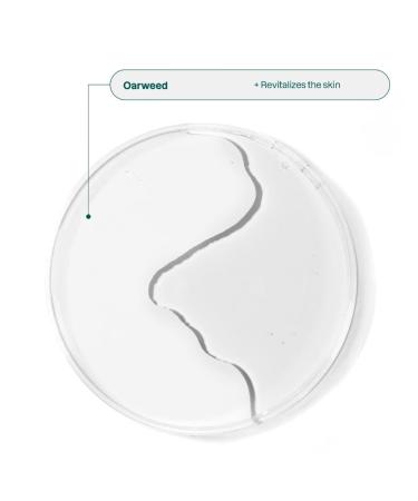 Attitude Living | PHYTO CLEANSE | Solid Facial Cleanser with Peptides | Removes Impurities without Irritating Skin | 30g(Pack of 1) - Buy Online on GoSupps.com