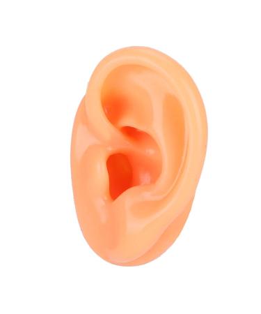 Buy Professional Silicone Left Ear Model - Anatomical Human Ohr Simulation for Acupuncture Training | International Shipping Available - Buy Online on GoSupps.com