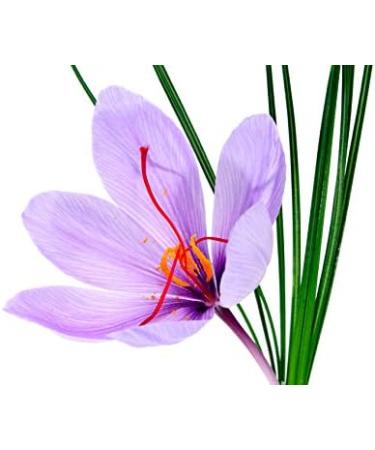 Pure organic saffron is a 100% natural and certified organic food supplement - Buy Online on GoSupps.com