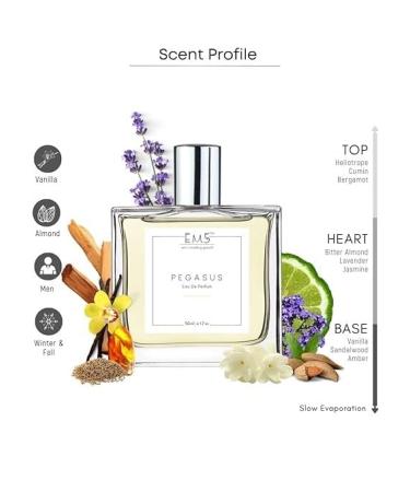 EMS Quad Perfume for Men (EDP) | Tobacco Vanilla Woody Cinnamon Fragrance | Strong and Long Lasting Spray | Luxury Gift for Him | (50ml / 1.7 Fl Oz) - Buy Online on GoSupps.com