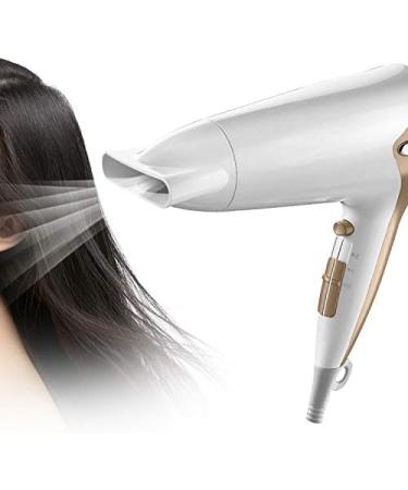 Hairdryer Professional Ionic Hair Dryer 2200W Powerful AC Motor Salon Fast Blow Dryers 3 Heat 2 Speed Settings Hair Dryer with Hair Comb/Nozzle for Men and Women Home and Salon Gold Small Gift - Buy Online on GoSupps.com