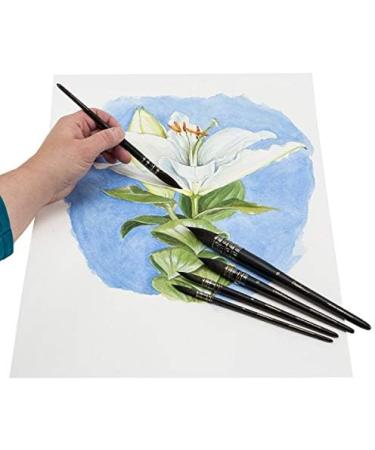 Creative Mark Danube Watercolor Quill Brush #10 - Kazan Squirrel & Synthetic Hair, Professional Painting Brush - Buy Online on GoSupps.com