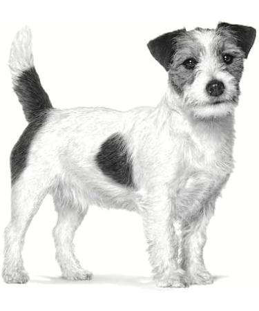 ROYAL CANIN Pill Assist (small dog) 90g - Buy Online on GoSupps.com