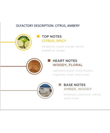 Jade Royale - Arabian Perfume for Women and Men Extrait de Parfum Mens Cologne with Bergamot Sweet Orange Lemon- Cashmere Wood Tonka Bean- Ambergris White Musk Patchouli Perfume 100ml 3.4 Fl Oz (Pack of 1) Jade Royale - Buy Online on GoSupps.com