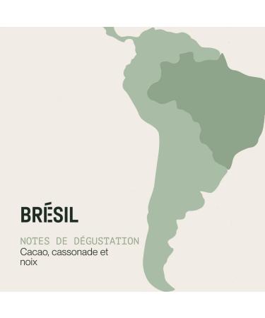 Incapto Caf D caf in de Sp cialit en Grain 1kg | S lection de caf s 100% Arabica du Br sil | Proc d Swiss Water - D caf ination Naturelle l Eau | D caf in  - Buy Online on GoSupps.com