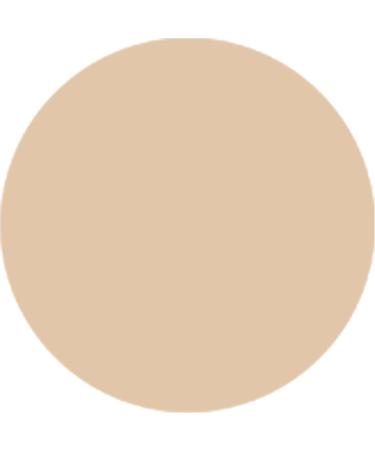  WYCON cosmetics WYCON cosmetics BEYOND Cover High Coverage Concealer Liquid Concealer Oil-Free Matte Finish Vegan Texture Covers Dark Circles and Imperfections - 01 Fair - Buy Online on GoSupps.com