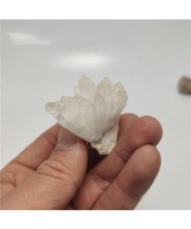 Natural Crystal Rough Stones White Crystal Quartz Crystal Cluster Ornaments White Quartz Cluster Crystal Specimen Can be Used for Home Office Decoration (Color : About 30g) - Buy Online on GoSupps.com