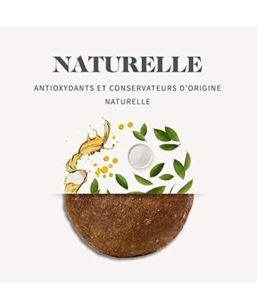 Bab'in Signature Medium Junior 12KG - Croquettes for Medium-Sized Puppies and Pregnant Dogs - Natural Healthy and Balanced - Adapted to Nutritional Needs - Rich in Chicken - Buy Online on GoSupps.com
