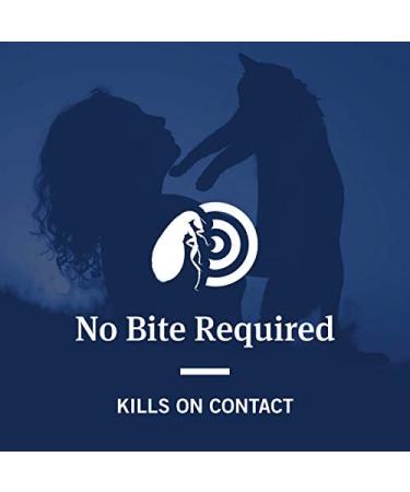 PetArmor Advanced 2 Flea Prevention for Small Cats - 6 Month Supply - Buy Online on GoSupps.com