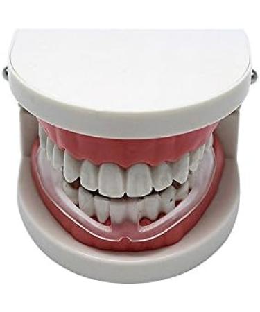 FEDBNET Sport Mouth Guards Clear Mouthguards Transparent Boxing Silicone Braces Dental Mouthguard Teeth Bruxism Grinding Eliminating Tightening Product - Buy Online on GoSupps.com