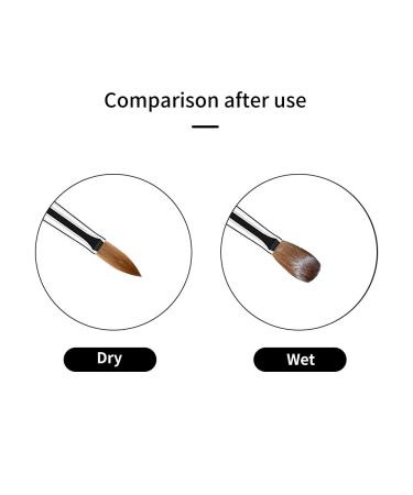 Golden Maple 100% Pure Kolinsky Hair Size 8 Oval Acrylic Nail Brush Set - Blue Wood Handle, Professional Manicure Tool for DIY Salon - Buy Online on GoSupps.com