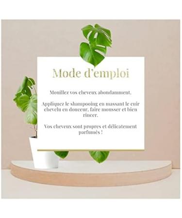 Arganicare | Duo Shampoo + Conditioner | With Macadamia Oil | Prevents and Fights Split Ends | Shiny Effect | All Hair Types | 1x400 ML+ 1x400mL - Buy Online on GoSupps.com