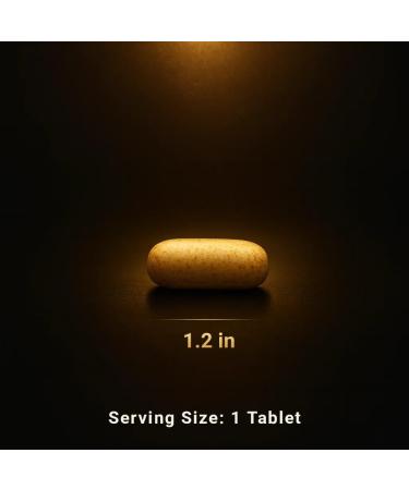 CGMLABS Premium Albumin Complex - Egg White & Whey Protein Blend with Royal Jelly & Essential Amino Acids - Daily Muscle Recovery & Nutrition Supplement - 200 Tablets - Buy Online on GoSupps.com