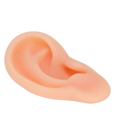 Silicone Fake Ear Model - Professional Acupuncture & Massage Teaching Tool (Right Ear) - Buy Online on GoSupps.com