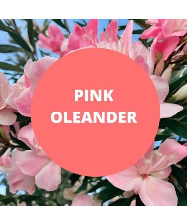 Copper Creek Pink Oleander (Type) Crafting Fragrance Oil for Bath and Body Products Perfumes and Candles 1 Oz - Buy Online on GoSupps.com