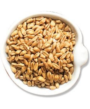 Royal Lee Organics Organic Spelt Berries 10 lbs - Premium Quality, 100% Whole Grain (Pack of 1) - Buy Online on GoSupps.com