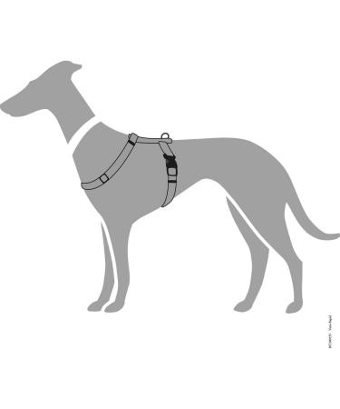 HUNTER Vario Rapid Harness 64-100 cm - Grey | Premium Adjustable Dog Harness for Ultimate Comfort - International Shipping Available - Buy Online on GoSupps.com