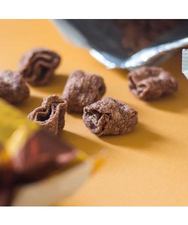 Orion Turtle Chips Crunchy Crispy Choco Churros Flavour Korean Snacks 160g (Pack of 2) - Buy Online on GoSupps.com