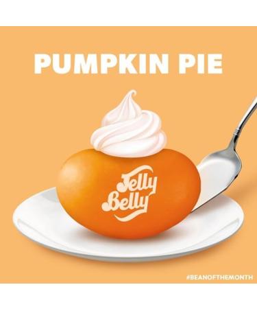 Jelly Belly Pumpkin Spice Jelly Beans Halloween Christmas Full Size 1-Pack 100g Candy Bags containing Pumpkin Pie Spice Kosher Candy Gluten Free Stocking Stuffers for Teens Holidays Bonbon Pumpkin Pie pack of 1 - Buy Online on GoSupps.com