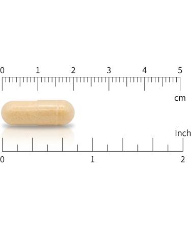 Policosanol 40mg & CoQ10 30mg - 120 Vegan Capsules | 4-Month Supply - Boost Heart Health & Energy - Buy Online on GoSupps.com